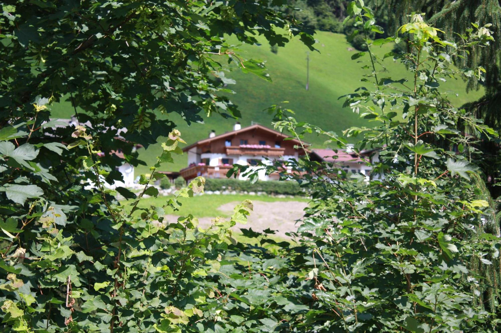 핑켄베르그 Zellerhof 아파트 외부 사진